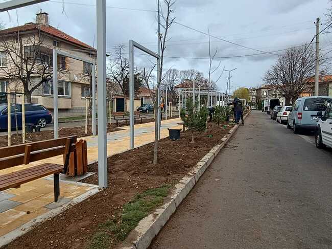 Община Сливен: Тече озеленяването по улица „Никола Фурнаджиев“, започнаха и първите кражби на цветя