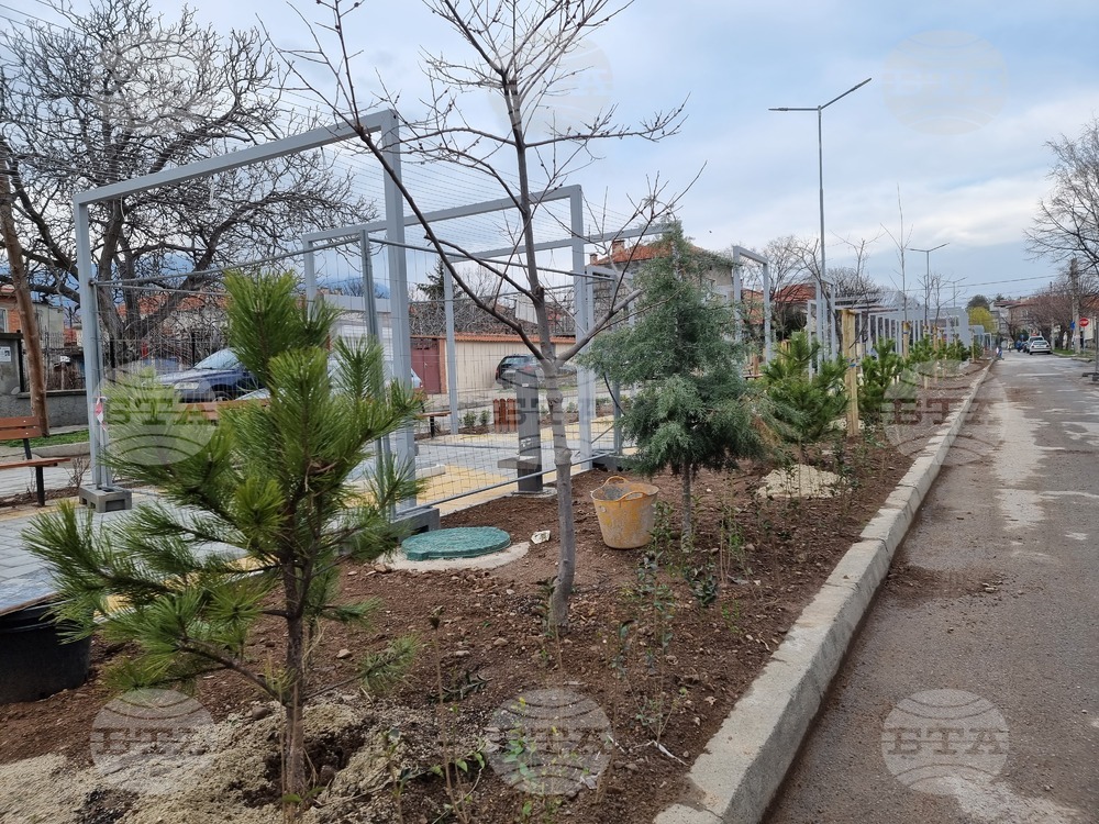 Започна озеленяването на т.нар. "зелен коридор" между два парка в Сливен