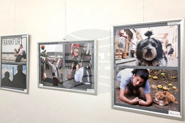 Плевен - Мирослав Григоров - фотографска изложба