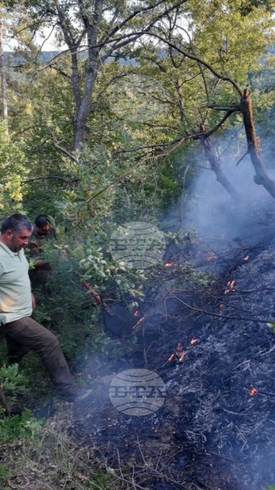 Близо 50 декара горска площ е засегнал пожарът край село Градец