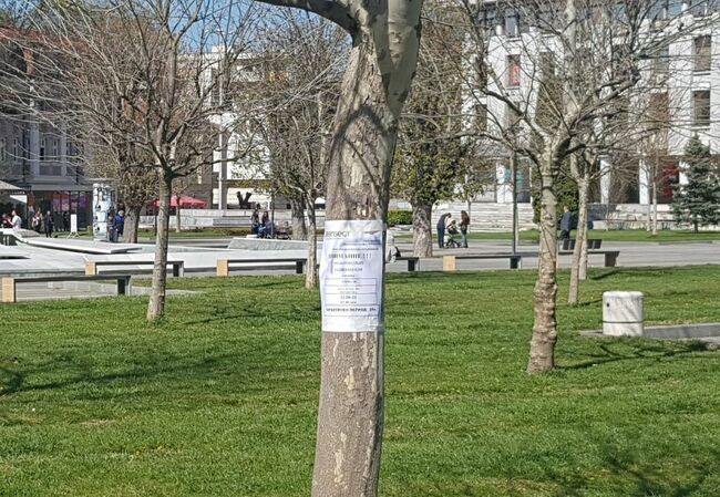 Община Плевен: Започва първата за годината обработка срещу кърлежи и бълхи