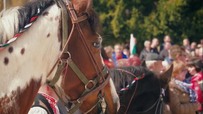 Община Чепеларе, конна база „Аспарух“ и местни коневъди организират Тодоровден Чепеларе 2024 на три локации