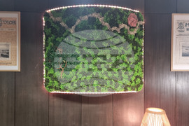 Варна - велоБиблиотека - читалня