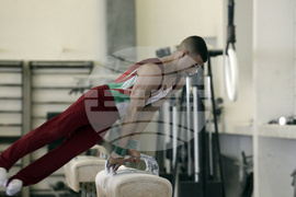 Спортна гимнастика  - открита тренировка