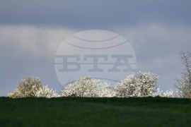 Село Свещари - пролет