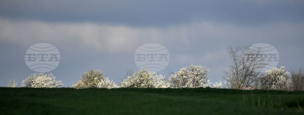 Село Свещари - пролет