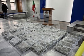 Стара Загора - марихуана - брифинг