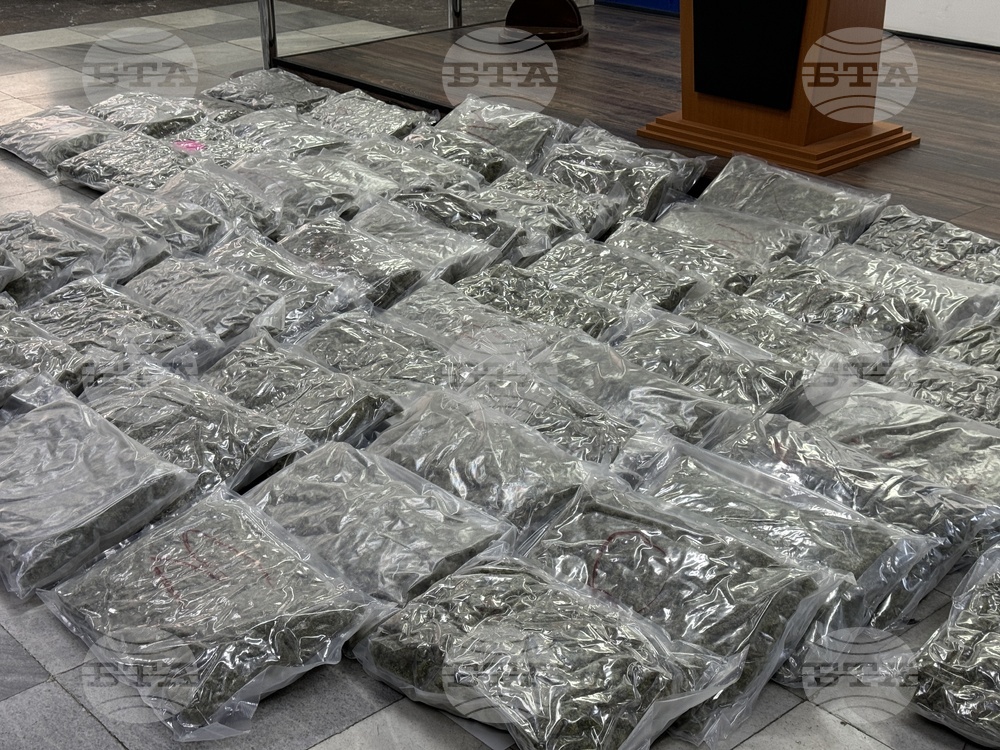 Стара Загора - марихуана - брифинг