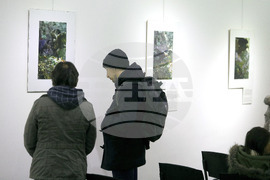 Русе - екомузей - изложба