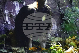 Русе - екомузей - изложба