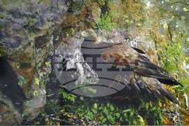 Русе - екомузей - изложба