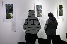 Русе - екомузей - изложба