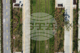 Столица - Зелени релси - изглед