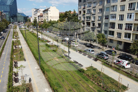 Столица - Зелени релси - изглед