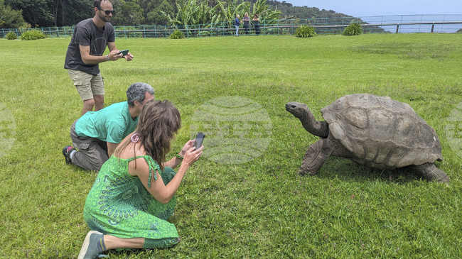 Костенурката Джонатан – най-старото живо сухоземно животно в света, не е починала, въпреки твърденията, разпространени в социалните мрежи