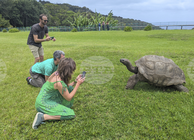 Костенурката Джонатан – най-старото живо сухоземно животно в света, не е починала, въпреки твърденията в социалните мрежи