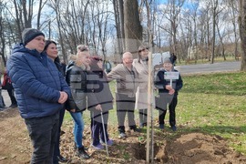 Разград - социални услуги - залесяване