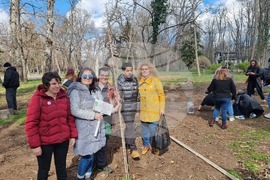 Разград - социални услуги - залесяване