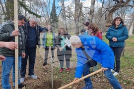 Разград - социални услуги - залесяване