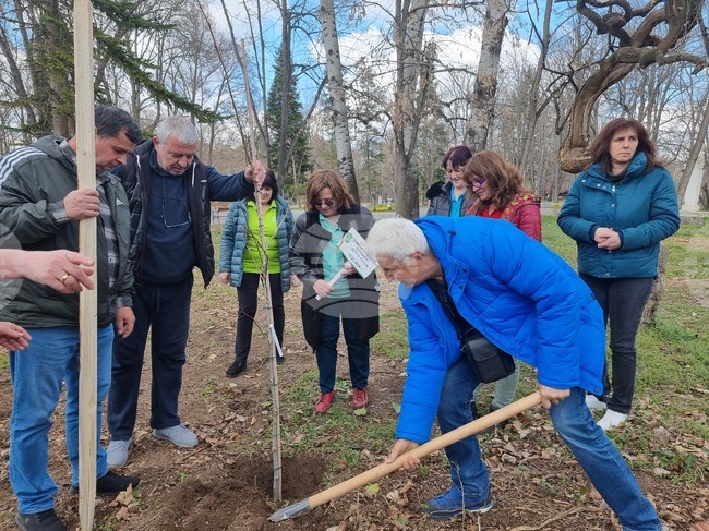 Разград - социални услуги - залесяване
