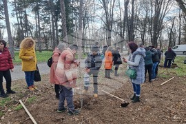 Разград - социални услуги - залесяване