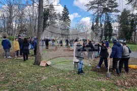 Разград - социални услуги - залесяване