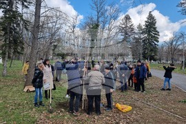 Разград - социални услуги - залесяване