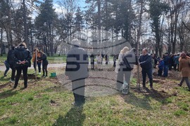 Разград-социални услуги- залесяване