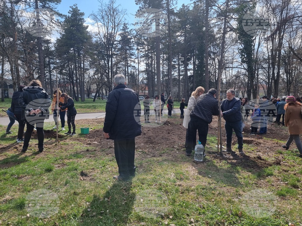 Разград-социални услуги- залесяване