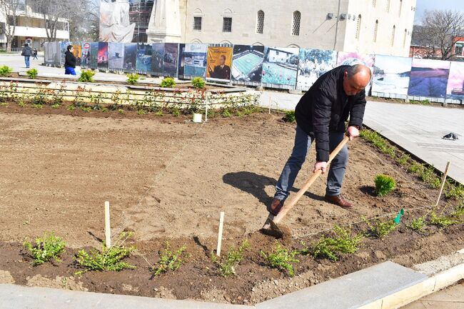 ОП “Паркстрой“ започна реновиране на градинката зад паметника на Майстор Манол, ще бъде засадена и нова градска елха 