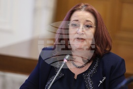 Народно събрание - Глеб Мишин - Временна комисия