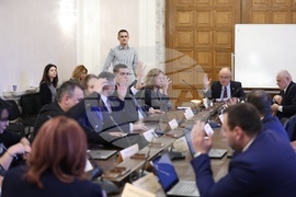 Народно събрание - Глеб Мишин - Временна комисия