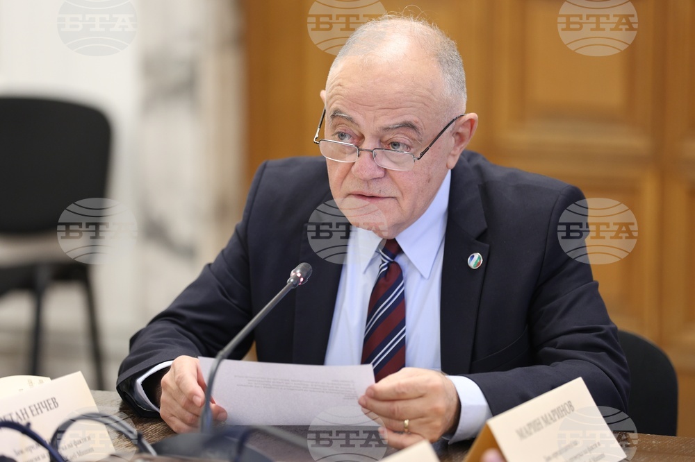 Народно събрание - Глеб Мишин - Временна комисия