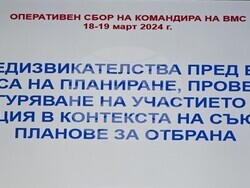 Снимка: БВС