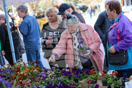 Кюстендил - празник на града - ежедневие