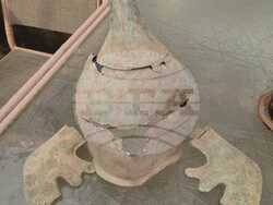 Снимка: Апелативна прокуратура – София