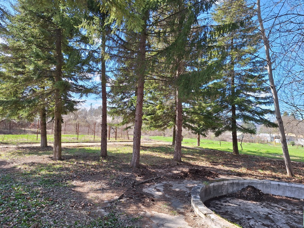 Община Ловеч: Вече е почистен паркът в Дома в Сливек