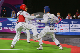 Световно първенство по таекуондо за юноши и девойки - Венцислав Аничин - Фуркан Догру