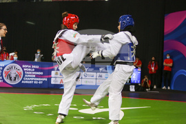 Световно първенство по таекуондо за юноши и девойки - Диана Благоева - Зайнаб Мохамед