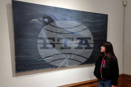 Велико Търново - изложба - Греди Асса