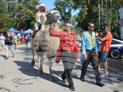 Шестото издание на ретро парад  „Vintage Vehicles Vidin“  събра във Видин стотици почитатели на стари автомобили   снимка: Община Видин