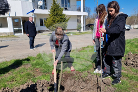 Хасково - Световен ден на водата - залесяване