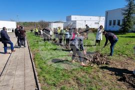 Хасково - Световен ден на водата - залесяване