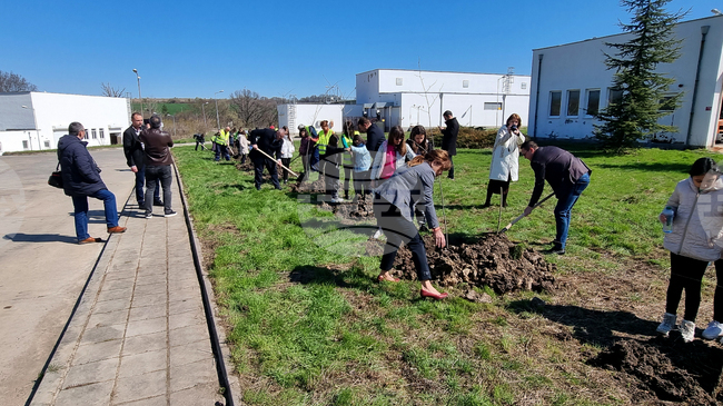 Хасково - Световен ден на водата - залесяване