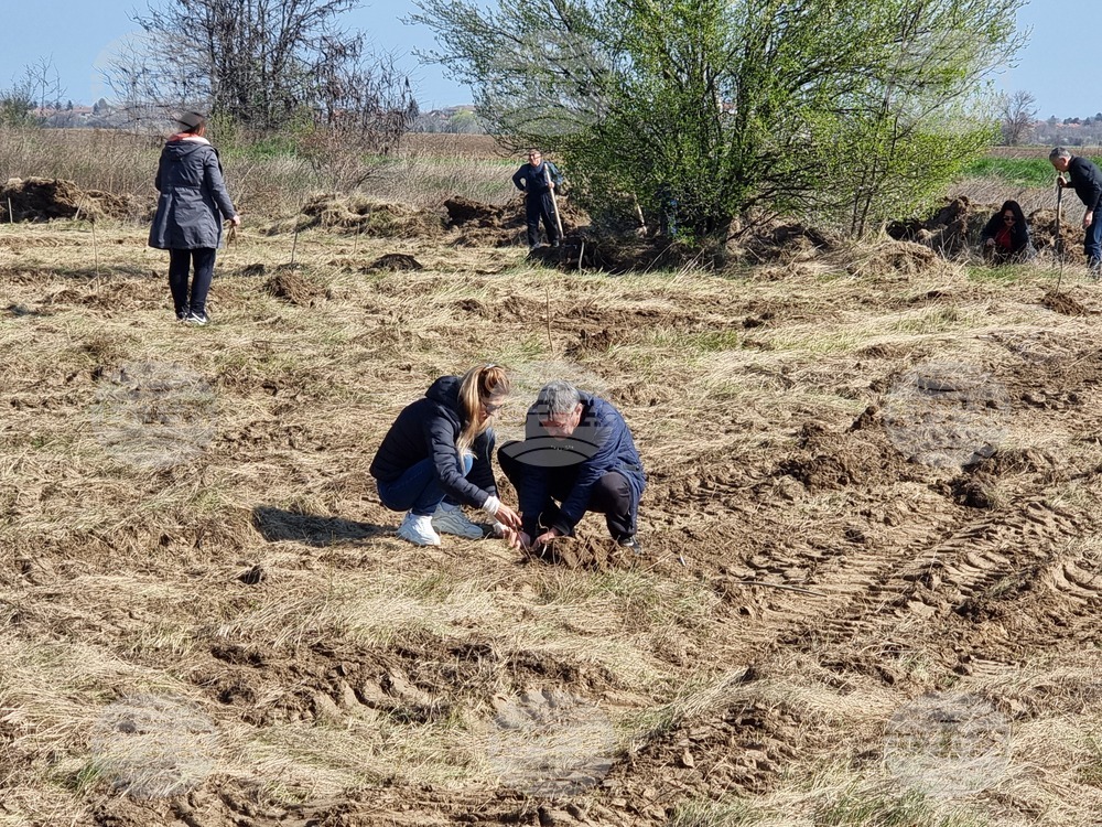 Видин - Световен ден на водата - ВиК - залесяване