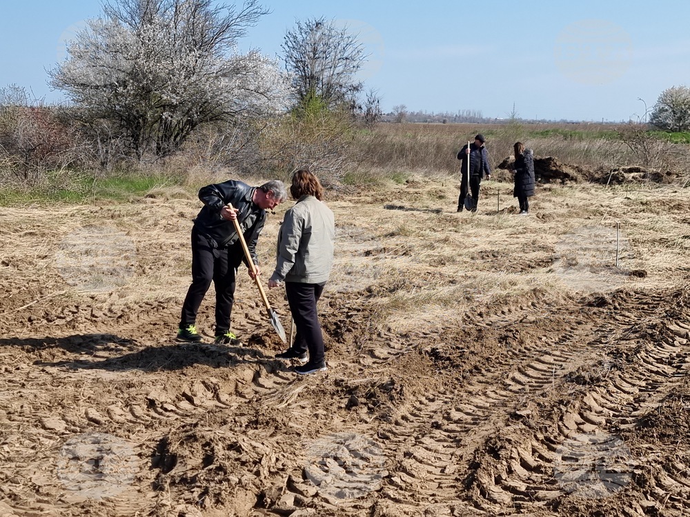 Видин - Световен ден на водата - ВиК - залесяване