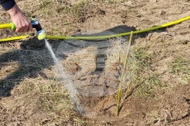 Видин - Световен ден на водата - ВиК - залесяване