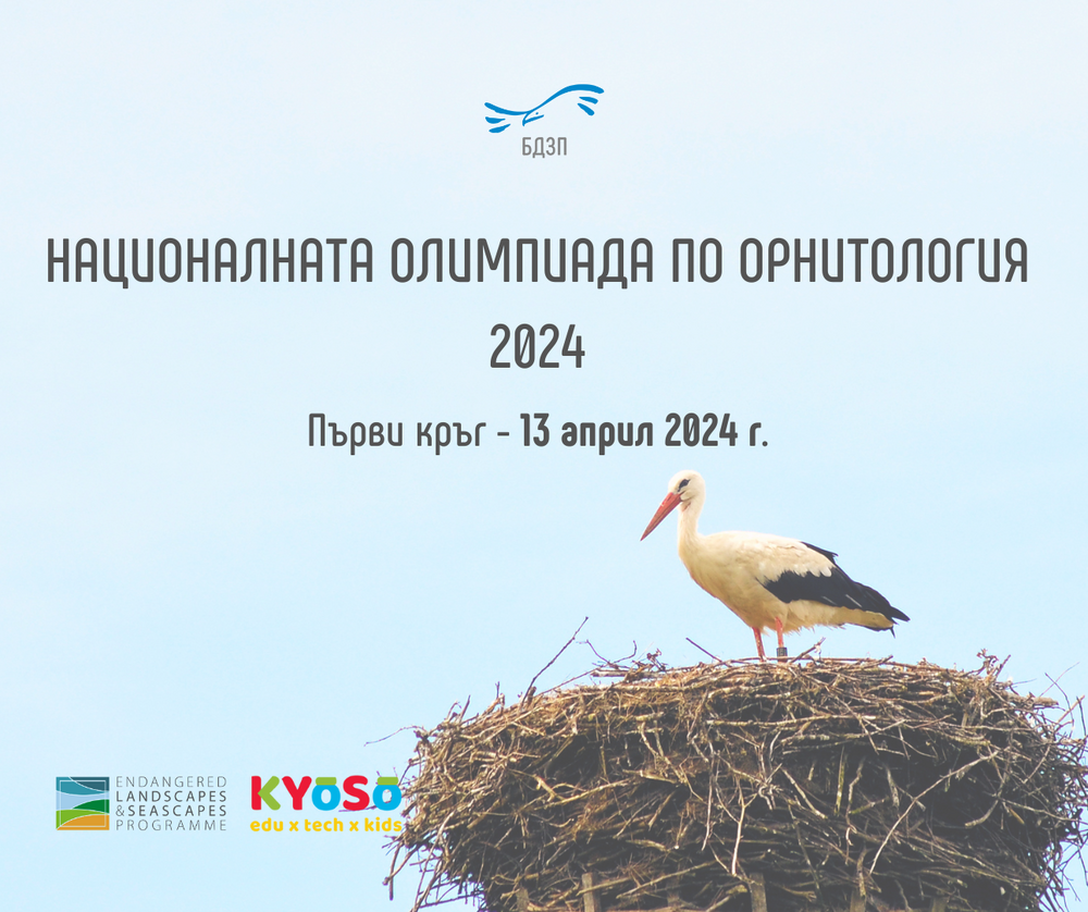 БДЗП: Стартира записването за Националната олимпиада по орнитология 2024