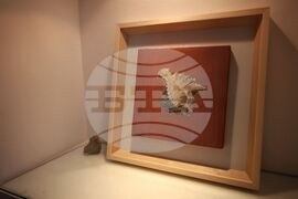 Бургас - Атанас Атанасов - изложба живопис