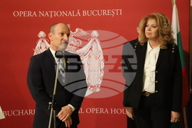 Румъния - вицепрезидент - изложба - откриване